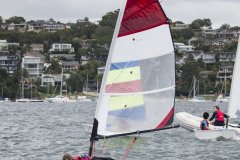 Manly Yacht Club HH Women's Challemge 2019 Laser's and BIC's