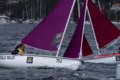 Manly Yacht Club HH Women's Challemge 2019 Sailability