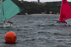 Manly Yacht Club HH Women's Challemge 2019 Sailability