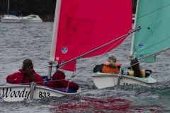 Manly Yacht Club HH Women's Challemge 2019 Sailability