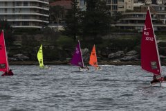 Manly Yacht Club HH Women's Challemge 2019 Sailability