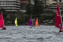 Manly Yacht Club HH Women's Challemge 2019 Sailability