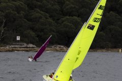 Manly Yacht Club HH Women's Challemge 2019 Sailability