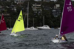 Manly Yacht Club HH Women's Challemge 2019 Sailability