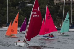 Manly Yacht Club HH Women's Challemge 2019 Sailability