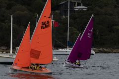 Manly Yacht Club HH Women's Challemge 2019 Sailability