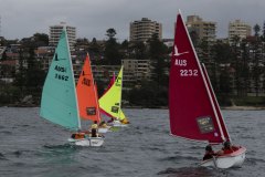 Manly Yacht Club HH Women's Challemge 2019 Sailability