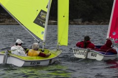 Manly Yacht Club HH Women's Challemge 2019 Sailability