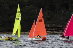 Manly Yacht Club HH Women's Challemge 2019 Sailability