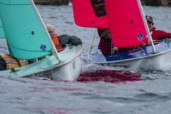 Manly Yacht Club HH Women's Challemge 2019 Sailability